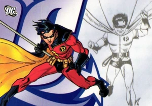 Tarjeta Robin 2007 DC Comics Rittenhouse - Imagen 1 de 4