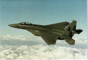 USAF McDonnel Douglas F-15E "Strike Eagle" Fighter Jet Postcard - Picture 1 of 2