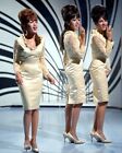 THE RONETTES 8X10 GLOSSY PHOTO IMAGE #3