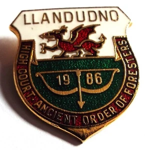1986 AOF High Court LLANDUDNO Metal Enamel Pin Badge Ancient Order of Foresters - Picture 1 of 2