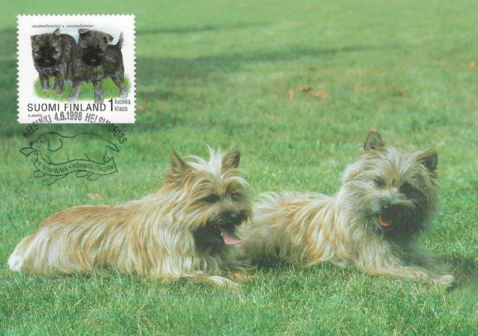 Cairnterrier Dogs And Puppies Finland Mint Maxi FDC 1998 - Image 1 of 1