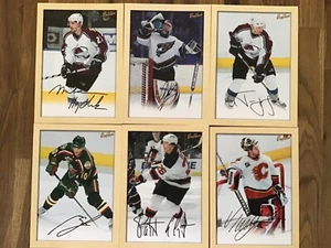 Lote de 6 tarjetas fotográficas de hockey de colmena abeja cubierta superior 2005-06 5x7 - Imagen 1 de 8
