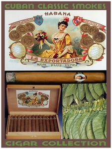 Decoration Poster.Interior design.Room art.Exportadora Cuban cigar.7282 - Picture 1 of 1