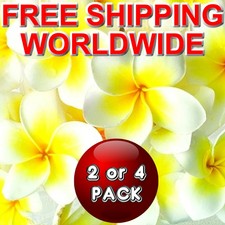 FRANGIPANI Scented Potpourri Sachets VEGAN & CRUELTY FREE