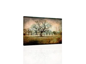 The March - CANVAS OR PRINT WALL ART - Picture 1 of 2