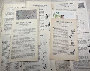 56 National Audubon Societies Educational Leaflet 3 pc print coloring plate text - Picture 1 of 23