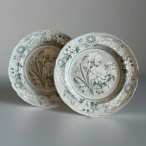 2 Platos Antiguos Spode Verde Transferware, Patrón Narcissi C 1820 - Imagen 1 de 12