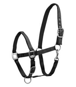 Halfter Satin, Stallhalfter Shetty Ponyhalfter Vollblut Warmblut Kaltbluthalfter - Bild 1 von 1