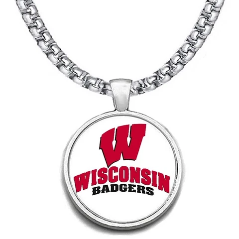 Large Wisconsin Badgers 24" Stainless Steel Pendant Necklace Free Ship' D30 Cover