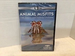 PBS Animal Misfits Odd Bizarre and Unlikely Creatures DVD - Bild 1 von 6