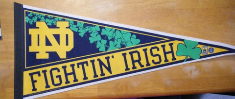 Notre Dame Fightin' Irish 2018 Pennant Blue & Gold 29" Playoffs Shamrocks NCAA Cover