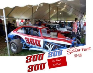 CD-1612-C #300 Bob Pickell modified Pinto DECALS - Picture 1 of 1