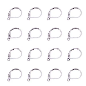 100 piezas Acero Inoxidable 304 Palanca trasera Auriculares de aro francés Hallazgos 15x10 mm - Imagen 1 de 5
