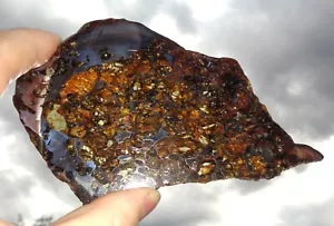 Meteorit Seymchan geätzte dünne Scheibe 70,3 Gramm, sehr gut transparent! - Bild 1 von 5