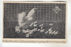 Union Lock Poultry Fence at Walter Smith's Poultry Yards DeKalb IL - Picture 1 of 1