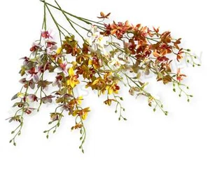 NEW Artificial Flowers/Plants F0423 Orchid Spray 85cm (4 Colours) - Picture 1 of 8