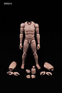 NEW Standard Male Caucasian Body with Highly Cost-Effective Edge 1/6 MX02-A