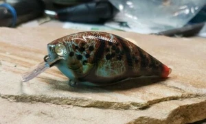Custom painted 2.5 square bill crankbait (BLUE CRAW) - Picture 1 of 5