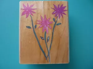 Triple Stemmed Starburst Flowers HERO ARTS Rubber Stamp - Picture 1 of 2