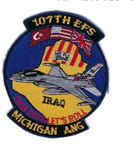 PATCH USAF 107th EFS EXPEDITIONARY FIGHTER SQ COLOR MICHIGAN AIR GUARD FS-20 - Picture 1 of 1