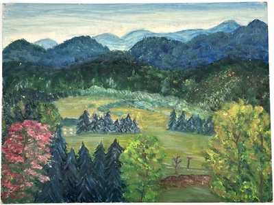 Pintura al óleo sobre lienzo 1953 firmada por artista sin marco de Lake Placid, Nueva York - 12"x 16" Foto 1 de 4