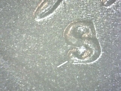 1952-S LINCOLN CENT RARE  RPM  HIGH END  GEM BU   KJ9 - Image 1 of 4