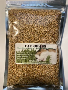 CAT GRASS (Wheat Seeds ) 1LB (13,500+ Seeds) -Grow Your Own Pets Garden ! - Picture 1 of 5