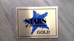 Daytona Trophy Stars of Tomorrow Gold Automobilia Plaque USA Made - Picture 1 of 2