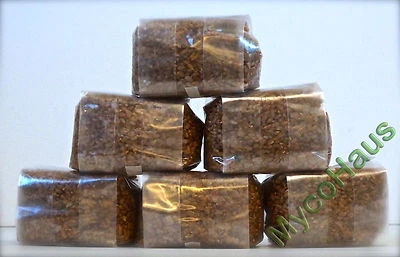 MycoHaus 6 one pound bags sterilized rye grain berries mushroom spawn grow bag