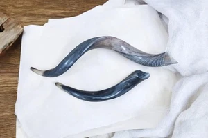 Yemenite Shofar Kudu Horn Set XL 30-33”+Free Mini kudu KOSHER Made Free... - Picture 1 of 14