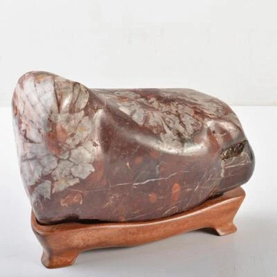 Piedra crisantemo Suiseki Bonseki Bonsai soporte de madera Neodani Gifu Foto 1 de 4