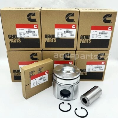 6X Pistons Rings Kit For Dodge Cummins 6BT 5.9L 12V 94-98 3928673 Standard STD - Image 1 of 4