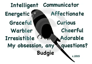 Budgie Bird My Obsession, Any Questions? T-shirt Choices of size color - Picture 1 of 11