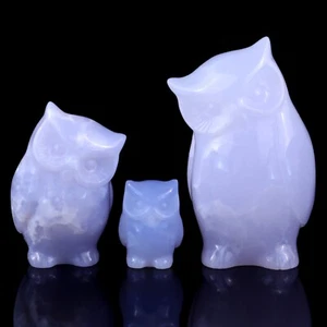 Blue Chalcedony Carved Owl Family Sculpture Crystal Healing Carving Decor - Picture 1 of 8