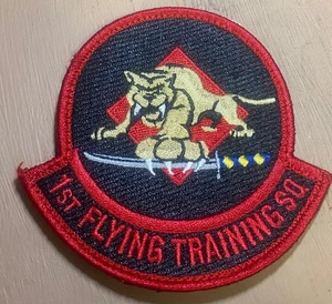 USAF Flight Suit Patch, 1st Flying Training Squadron - Picture 1 of 2