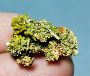 Racimo de cristal de piromorfita verde natural en muestra mineral de matriz - Imagen 1 de 9