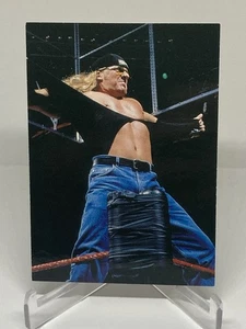 1998 TRIPLE H Comic Images WWF Superstarz Wrestling ROOKIE Card #16 WWE DX - Bild 1 von 2