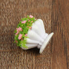 2pcs Dollhouse Furniture 1:12 Accessories Mini Green Plant Bonsai Flower Po  FN4