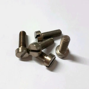 10 x Titan Schrauben / Titanium screws Grade 2 DIN 84, M4 x 12 - Picture 1 of 1
