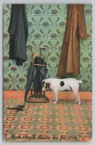 "Now They'll Blame Me for This" Jack Russell Dog Stares at Water Puddle Postcard - Picture 1 of 5