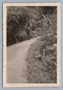 Ventimiglia Italia 1953 - Jardín Botánico Hanbury Park - Foto años 50 - Imagen 1 de 2