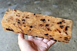Malayan Teak Burl, Lumber Turning Blanks, Exotic Wood 2 6/8"X 9 7/8"X 2" #823 - Picture 1 of 18
