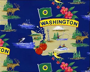 Evergreen State Washington Map Tourism Fleece Fabric Print by the Yard A240.05 - Imagen 1 de 1
