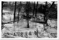 B&W Photo Angel Terrace Pools Mammoth Hot Springs Yellowstone National Park WY