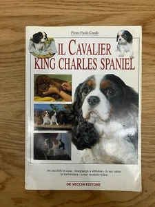 IL CAVALIER KING CHARLES SPANIEL DI PIETRO PAOLO CONDO' DE VECCHI 2000 - Picture 1 of 9