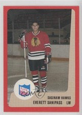 1988-89 ProCards AHL/IHL Everett Sanipass
