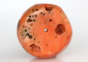 Rare Ancient Baluchistan Salmon Coral Bead - Natural Huge 20mm, 8.6g #D156 - Picture 1 of 5