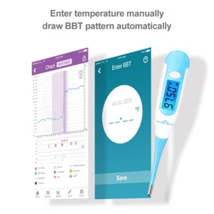 Easy@Home Digital Oral Basal Thermometer - Large Blue Backlit Display  – EBT-100 - Picture 1 of 10