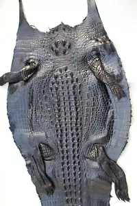 W 14 in- Real Crocodile Alligator Skin Leather Hide Exotic Pelt taxidermy Craft - Picture 1 of 7