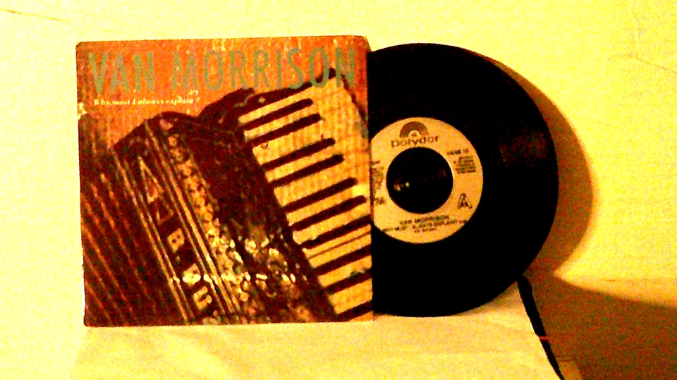 Van Morrison,Polydor,"Why Must I Always Explain?"UK,7"45 with P/S,1991 rock,M - Image 1 of 1